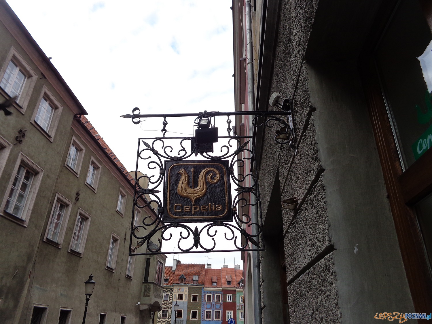 Cepelia - wzorcowy szyld Foto: Cepelia - wzorcowy szyld Foto: