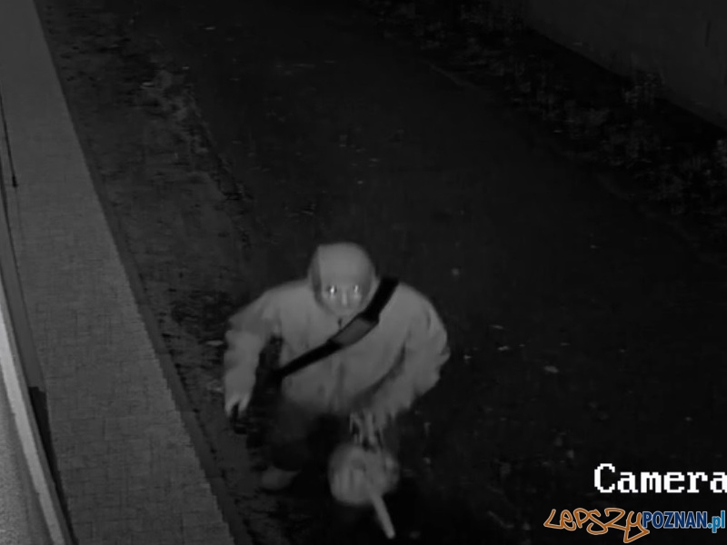 Nożownik zaatakował kobietę w Kórniku Foto: KWP w Poznaniu Nożownik zaatakował kobietę w Kórniku Foto: KWP w Poznaniu