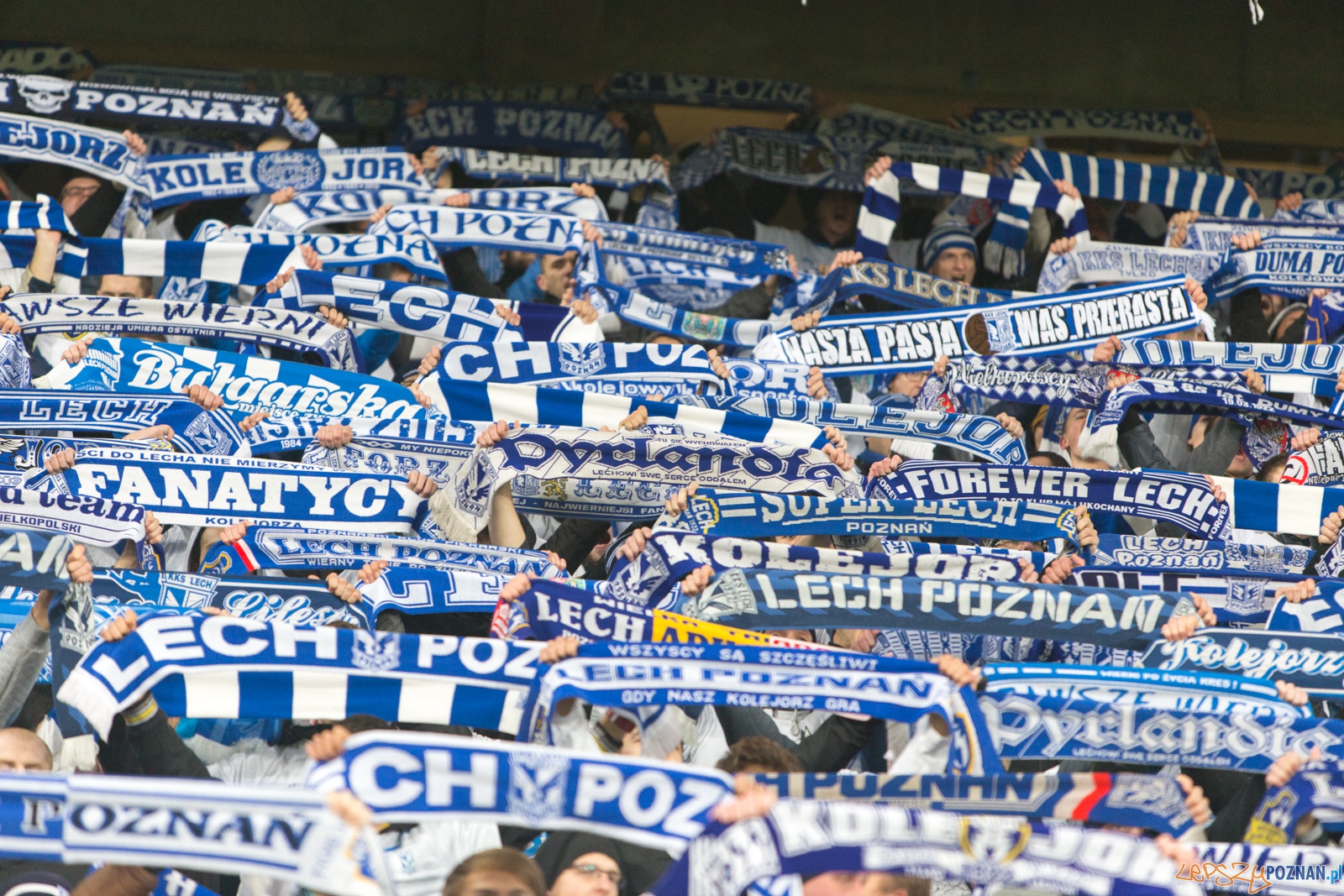 Liga Europy - KKS Lech Poznań - ACF Fiorentina (najlepsi kibice Foto: lepszyPOZNAN.pl / Piotr Rychter Liga Europy - KKS Lech Poznań - ACF Fiorentina (najlepsi kibice Foto: lepszyPOZNAN.pl / Piotr Rychter