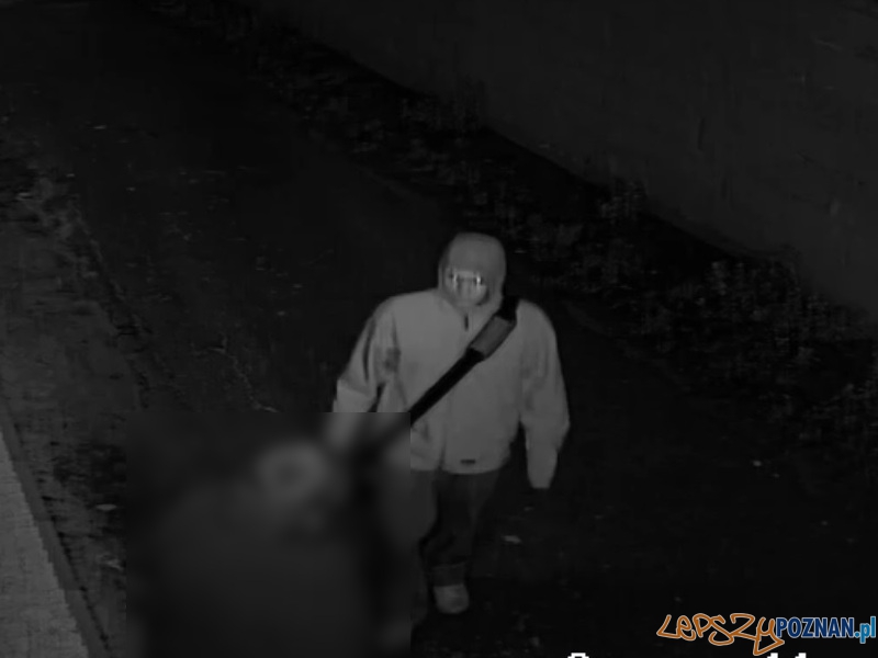 Nożownik zaatakował kobietę w Kórniku Foto: KWP w Poznaniu Nożownik zaatakował kobietę w Kórniku Foto: KWP w Poznaniu