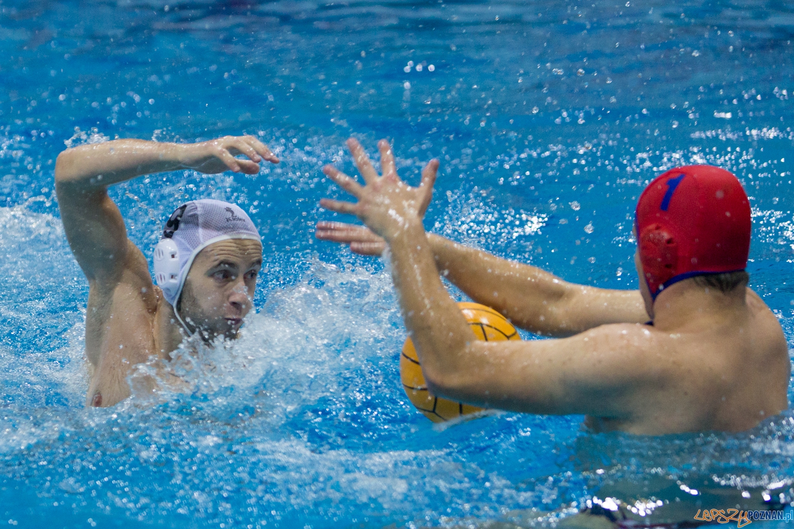 3. kolejka Ekstraklasy Piłki Wodnej - KS Waterpolo Poznań - GK Foto: lepszyPOZNAN.pl / Piotr Rychter 3. kolejka Ekstraklasy Piłki Wodnej - KS Waterpolo Poznań - GK Foto: lepszyPOZNAN.pl / Piotr Rychter