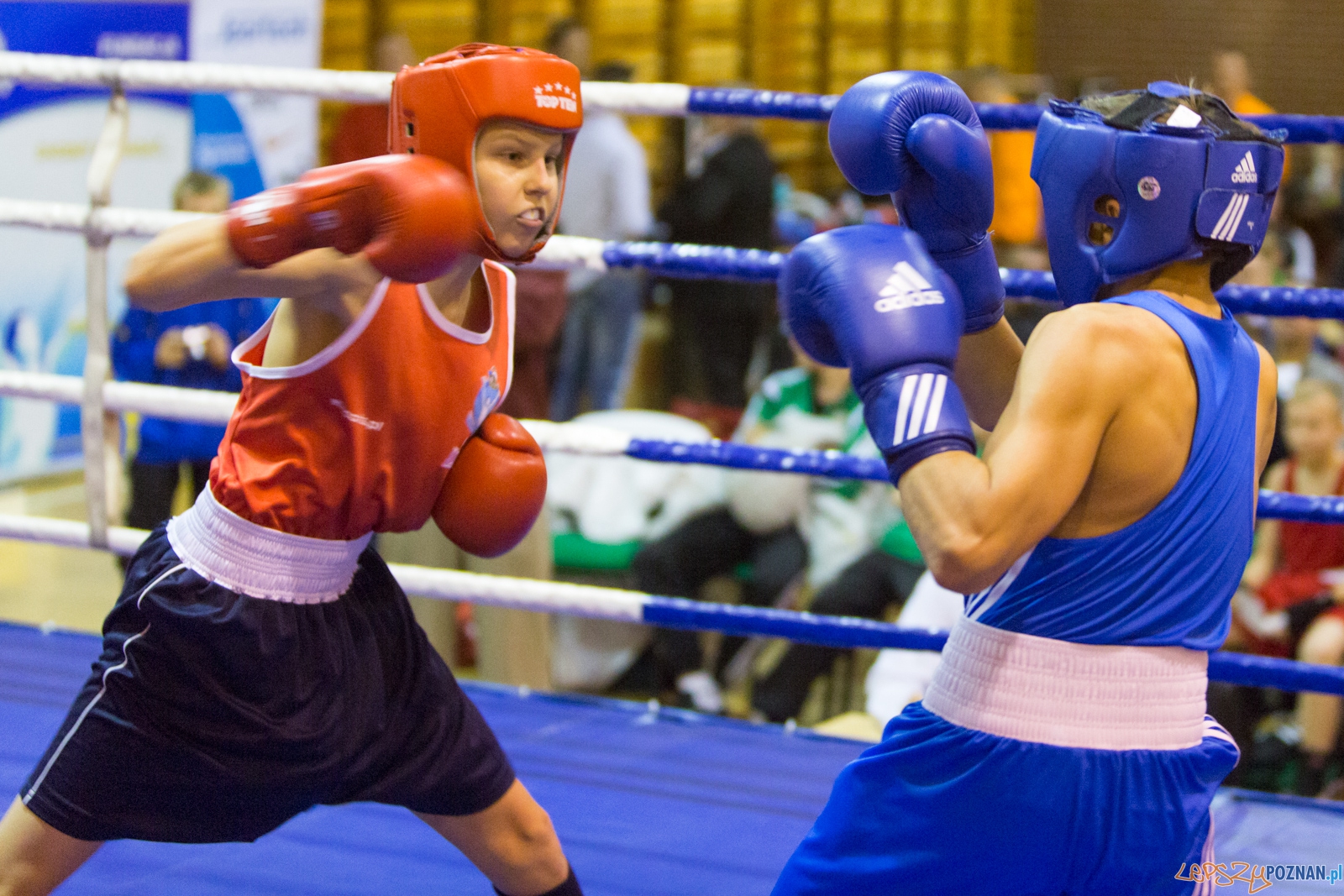 IV Oficjalne Mistrzostwa Polski Młodzików im. Pawła Szydły Foto: lepszyPOZNAN.pl / Piotr Rychter IV Oficjalne Mistrzostwa Polski Młodzików im. Pawła Szydły Foto: lepszyPOZNAN.pl / Piotr Rychter