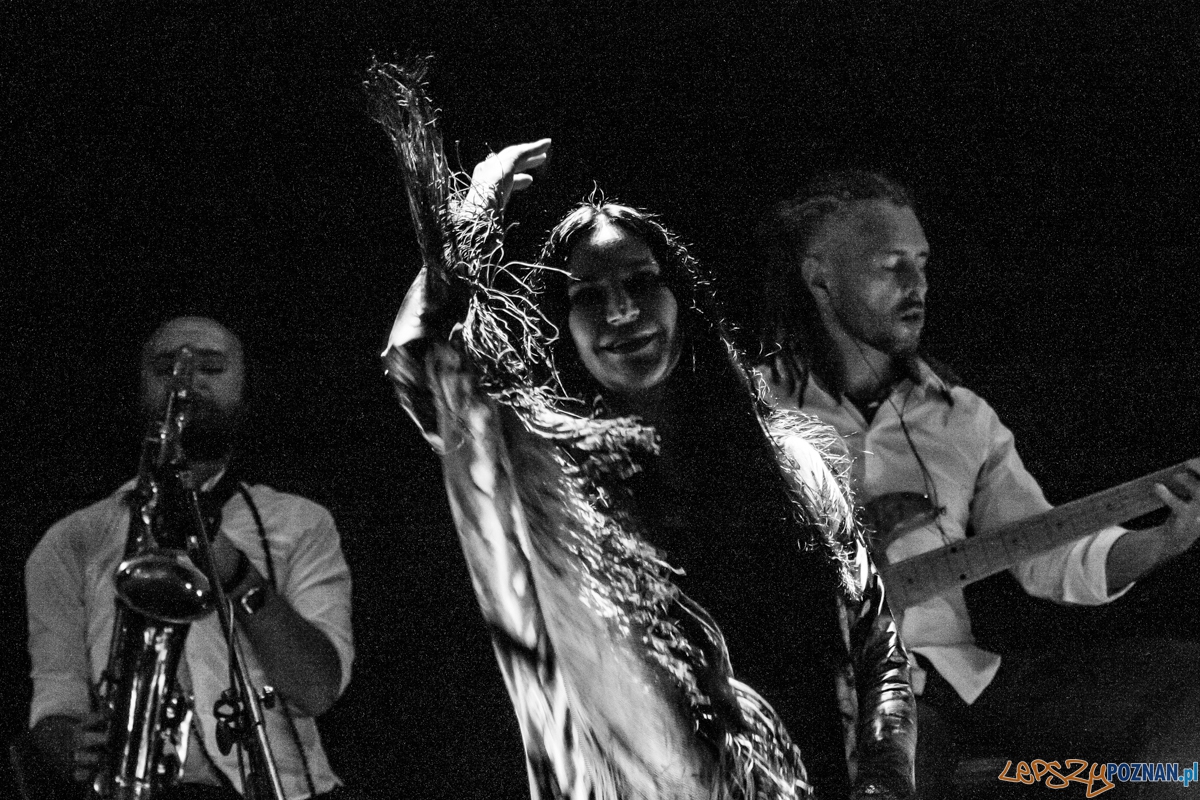 Kayah (15.11.2015) Centrum Kongresowo-Dydaktyczne UM Foto: © lepszyPOZNAN.pl / Karolina Kiraga Kayah (15.11.2015) Centrum Kongresowo-Dydaktyczne UM Foto: © lepszyPOZNAN.pl / Karolina Kiraga