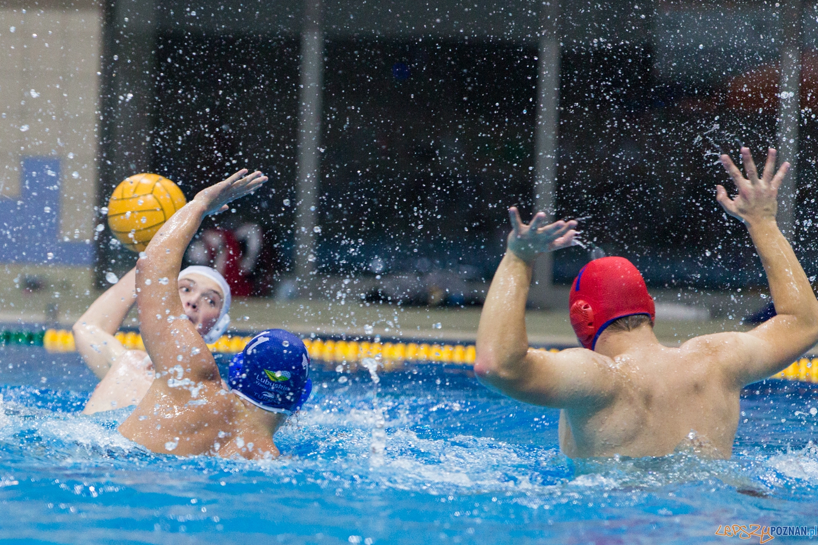 3. kolejka Ekstraklasy Piłki Wodnej - KS Waterpolo Poznań - GK Foto: lepszyPOZNAN.pl / Piotr Rychter 3. kolejka Ekstraklasy Piłki Wodnej - KS Waterpolo Poznań - GK Foto: lepszyPOZNAN.pl / Piotr Rychter