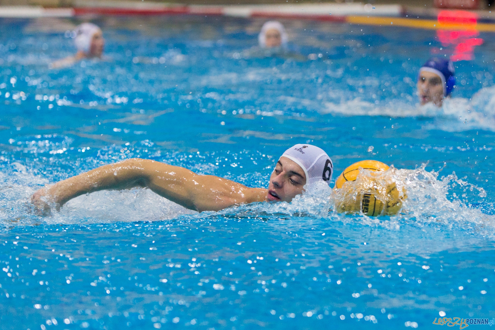 3. kolejka Ekstraklasy Piłki Wodnej - KS Waterpolo Poznań - GK Foto: lepszyPOZNAN.pl / Piotr Rychter 3. kolejka Ekstraklasy Piłki Wodnej - KS Waterpolo Poznań - GK Foto: lepszyPOZNAN.pl / Piotr Rychter