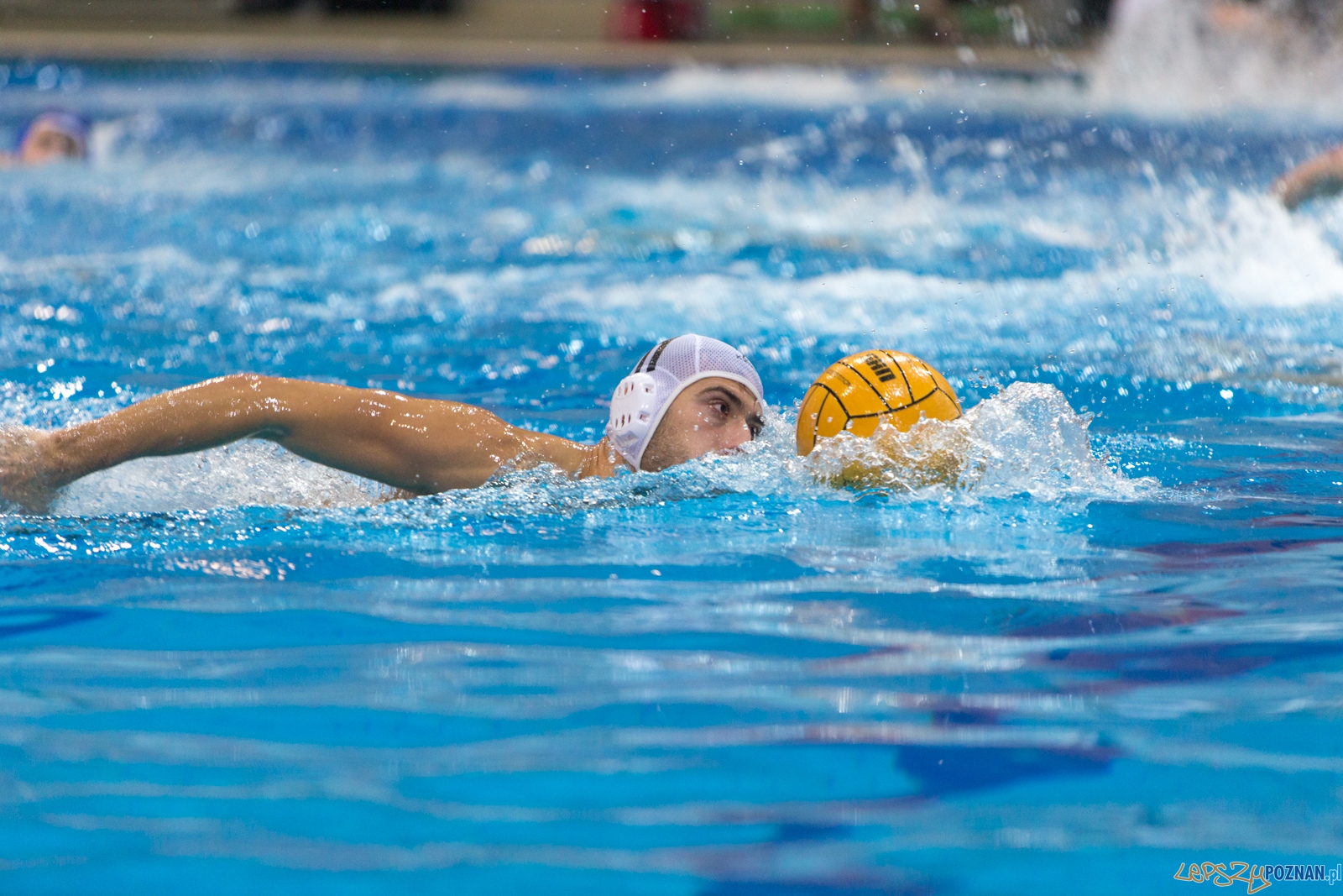 3. kolejka Ekstraklasy Piłki Wodnej - KS Waterpolo Poznań - GK Foto: lepszyPOZNAN.pl / Piotr Rychter 3. kolejka Ekstraklasy Piłki Wodnej - KS Waterpolo Poznań - GK Foto: lepszyPOZNAN.pl / Piotr Rychter