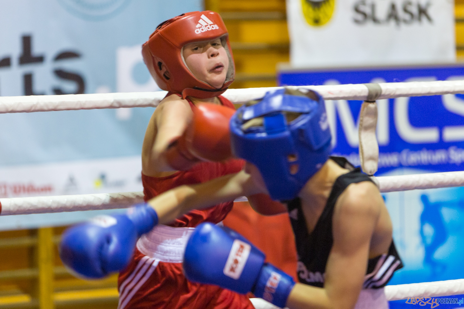 IV Oficjalne Mistrzostwa Polski Młodzików im. Pawła Szydły Foto: lepszyPOZNAN.pl / Piotr Rychter IV Oficjalne Mistrzostwa Polski Młodzików im. Pawła Szydły Foto: lepszyPOZNAN.pl / Piotr Rychter