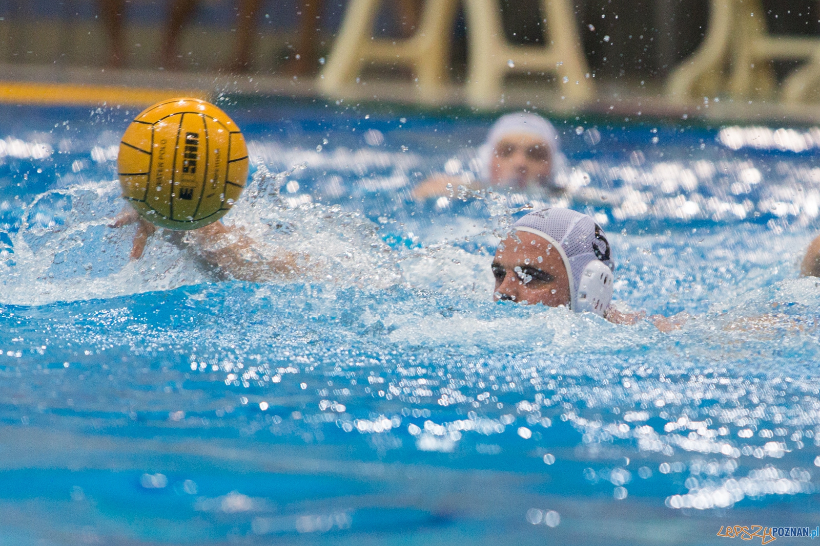 3. kolejka Ekstraklasy Piłki Wodnej - KS Waterpolo Poznań - GK Foto: lepszyPOZNAN.pl / Piotr Rychter 3. kolejka Ekstraklasy Piłki Wodnej - KS Waterpolo Poznań - GK Foto: lepszyPOZNAN.pl / Piotr Rychter