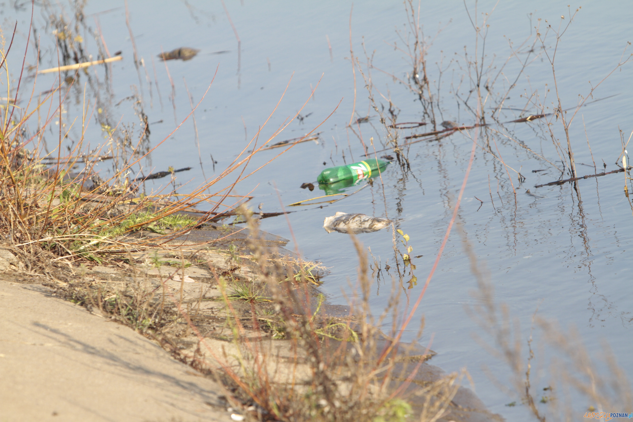 Poszukiwania Ewy Tylman Foto: lepszyPOZNAN.pl / Paweł Rychter Poszukiwania Ewy Tylman Foto: lepszyPOZNAN.pl / Paweł Rychter