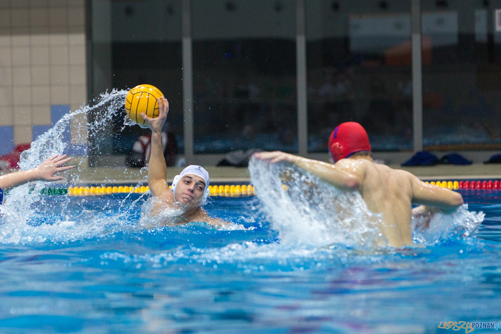 3. kolejka Ekstraklasy Piłki Wodnej - KS Waterpolo Poznań - GK Foto: lepszyPOZNAN.pl / Piotr Rychter 3. kolejka Ekstraklasy Piłki Wodnej - KS Waterpolo Poznań - GK Foto: lepszyPOZNAN.pl / Piotr Rychter