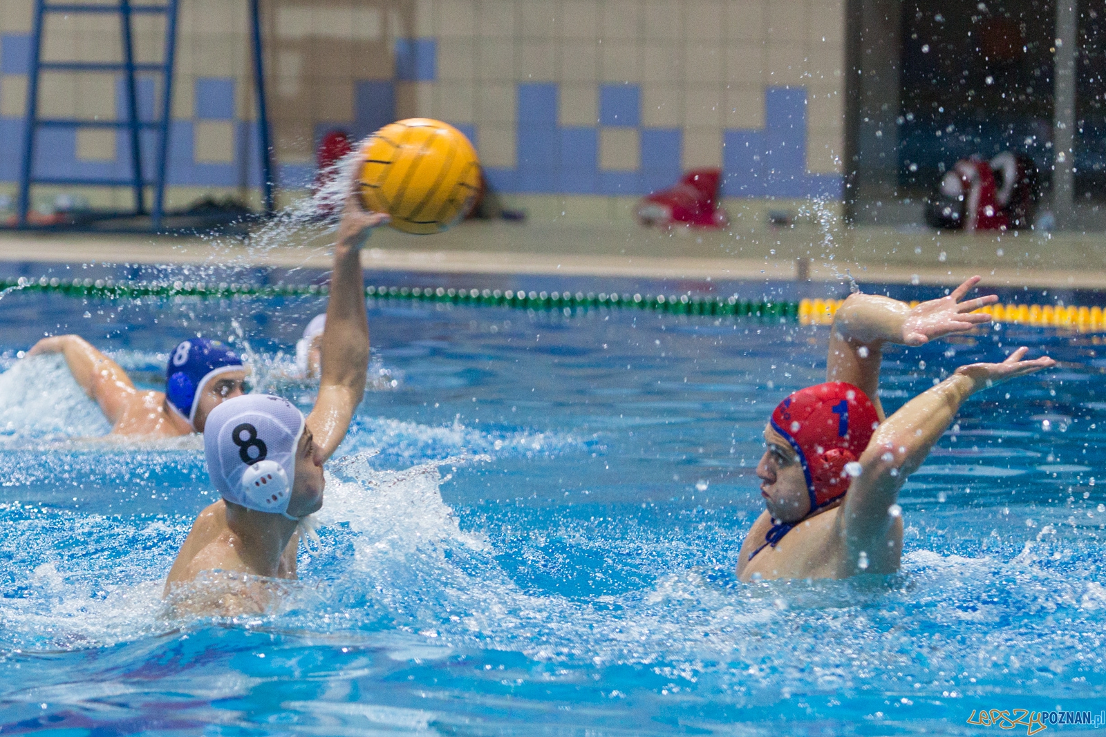 3. kolejka Ekstraklasy Piłki Wodnej - KS Waterpolo Poznań - GK Foto: lepszyPOZNAN.pl / Piotr Rychter 3. kolejka Ekstraklasy Piłki Wodnej - KS Waterpolo Poznań - GK Foto: lepszyPOZNAN.pl / Piotr Rychter