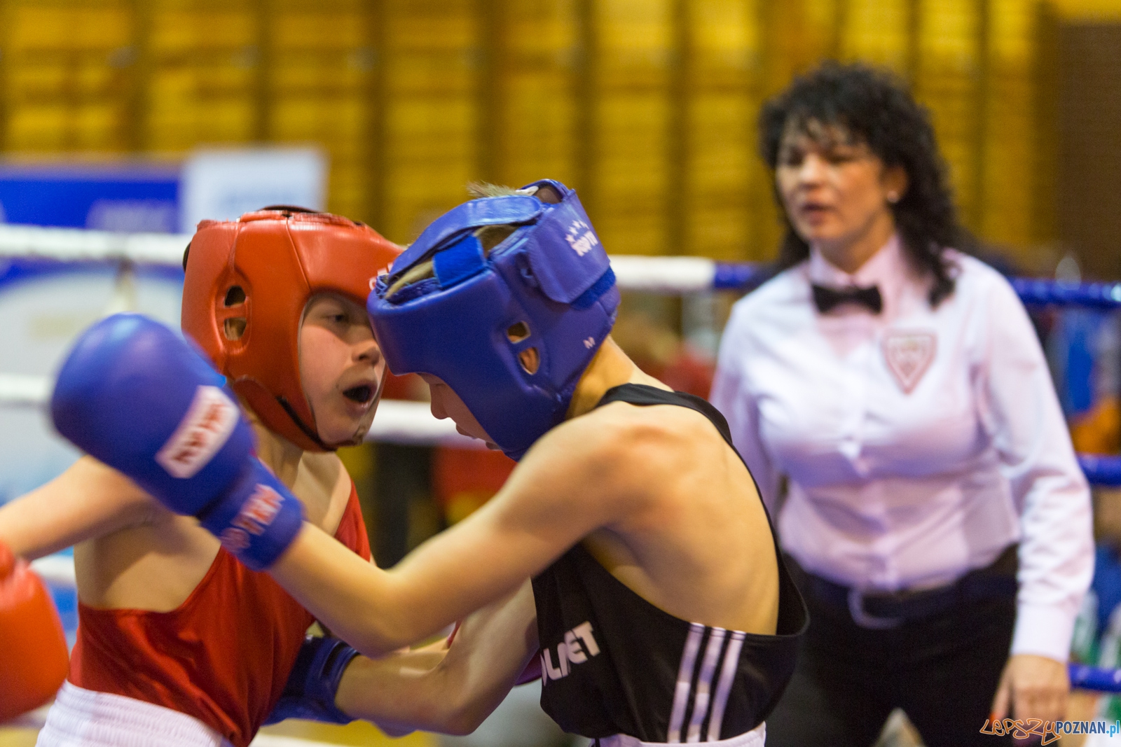IV Oficjalne Mistrzostwa Polski Młodzików im. Pawła Szydły Foto: lepszyPOZNAN.pl / Piotr Rychter IV Oficjalne Mistrzostwa Polski Młodzików im. Pawła Szydły Foto: lepszyPOZNAN.pl / Piotr Rychter