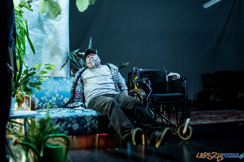 Versus w reżyserii Jedrzeja Piaskowskiego Foto: Jakub Wittchen Versus w reżyserii Jedrzeja Piaskowskiego Foto: Jakub Wittchen