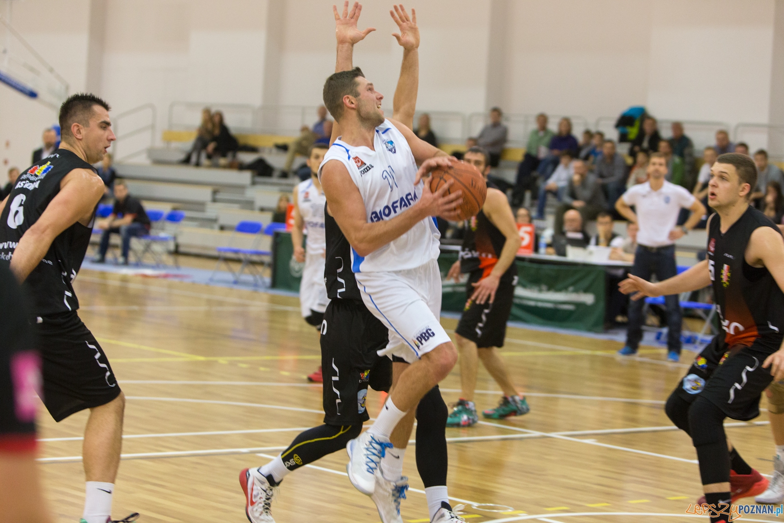 11. kolejka 1. ligi koszykówki mężczyzn - Biofarm Basket Poz Foto: lepszyPOZNAN.pl / Piotr Rychter 11. kolejka 1. ligi koszykówki mężczyzn - Biofarm Basket Poz Foto: lepszyPOZNAN.pl / Piotr Rychter