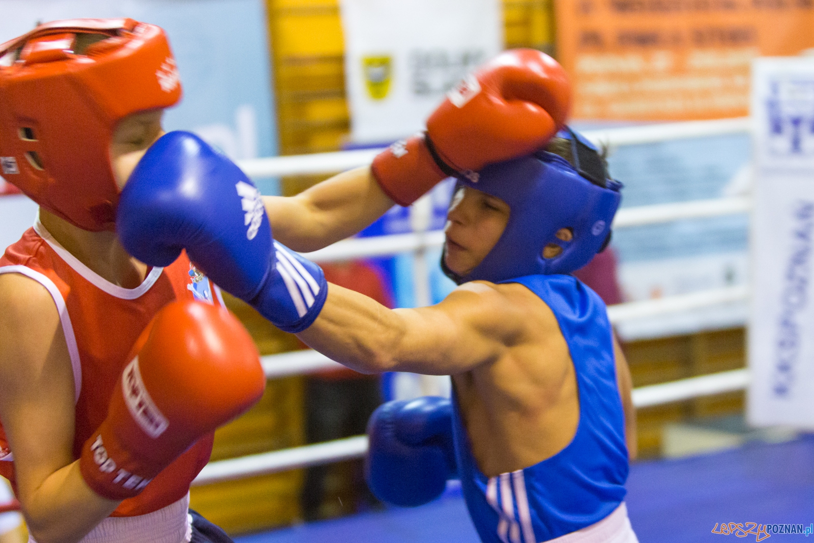 IV Oficjalne Mistrzostwa Polski Młodzików im. Pawła Szydły Foto: lepszyPOZNAN.pl / Piotr Rychter IV Oficjalne Mistrzostwa Polski Młodzików im. Pawła Szydły Foto: lepszyPOZNAN.pl / Piotr Rychter