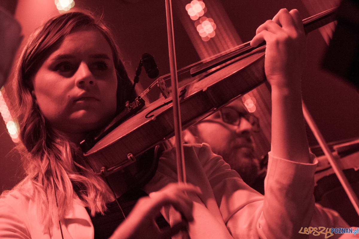 Tribute to Michael Jackson (22.11.2015) Sala Ziemi Foto: © lepszyPOZNAN.pl / Karolina Kiraga Tribute to Michael Jackson (22.11.2015) Sala Ziemi Foto: © lepszyPOZNAN.pl / Karolina Kiraga