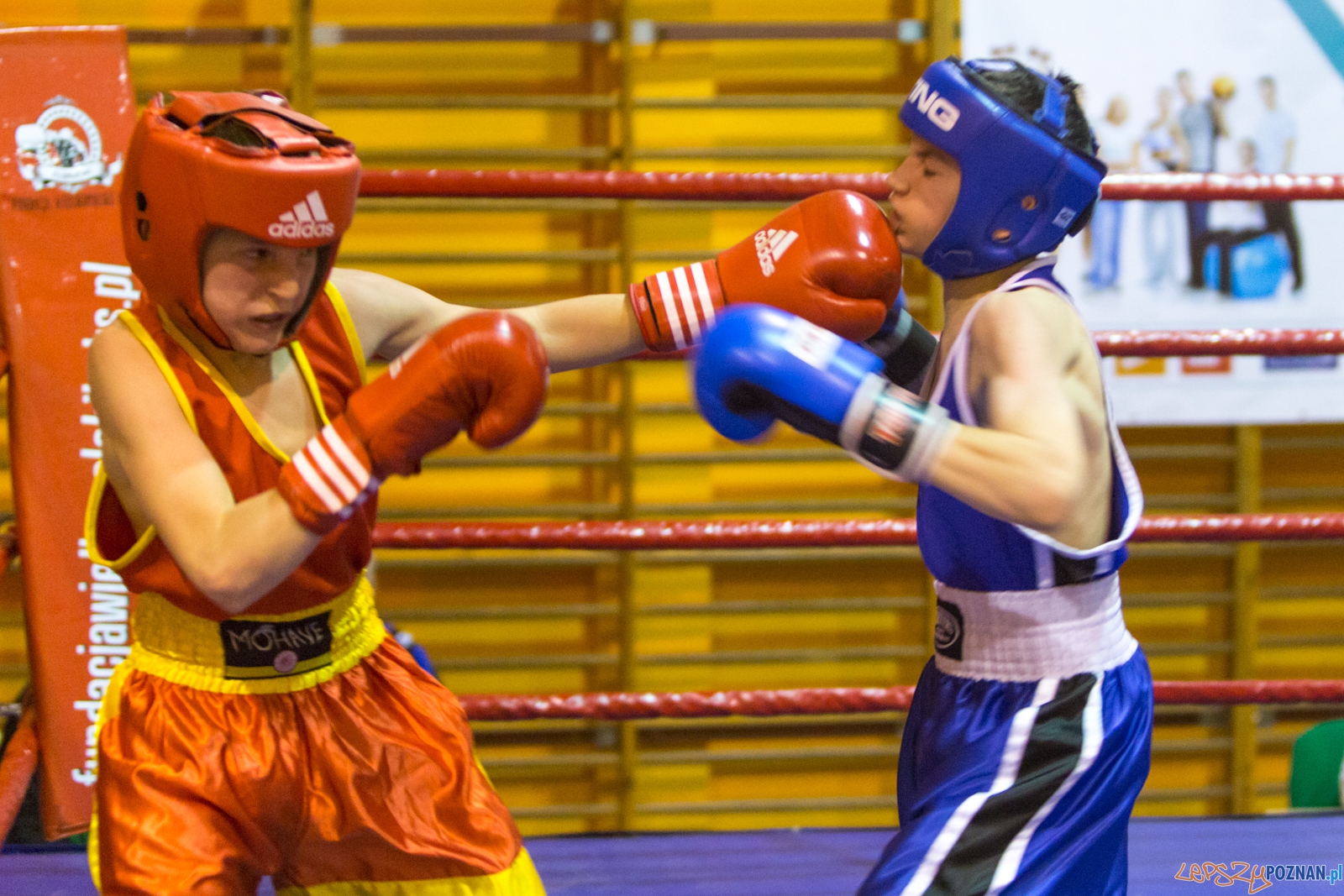 IV Oficjalne Mistrzostwa Polski Młodzików im. Pawła Szydły Foto: lepszyPOZNAN.pl / Piotr Rychter IV Oficjalne Mistrzostwa Polski Młodzików im. Pawła Szydły Foto: lepszyPOZNAN.pl / Piotr Rychter
