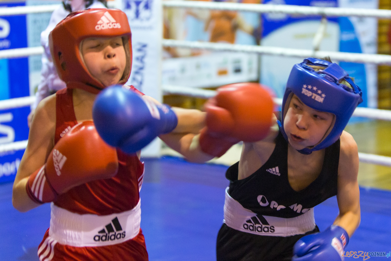 IV Oficjalne Mistrzostwa Polski Młodzików im. Pawła Szydły Foto: lepszyPOZNAN.pl / Piotr Rychter IV Oficjalne Mistrzostwa Polski Młodzików im. Pawła Szydły Foto: lepszyPOZNAN.pl / Piotr Rychter