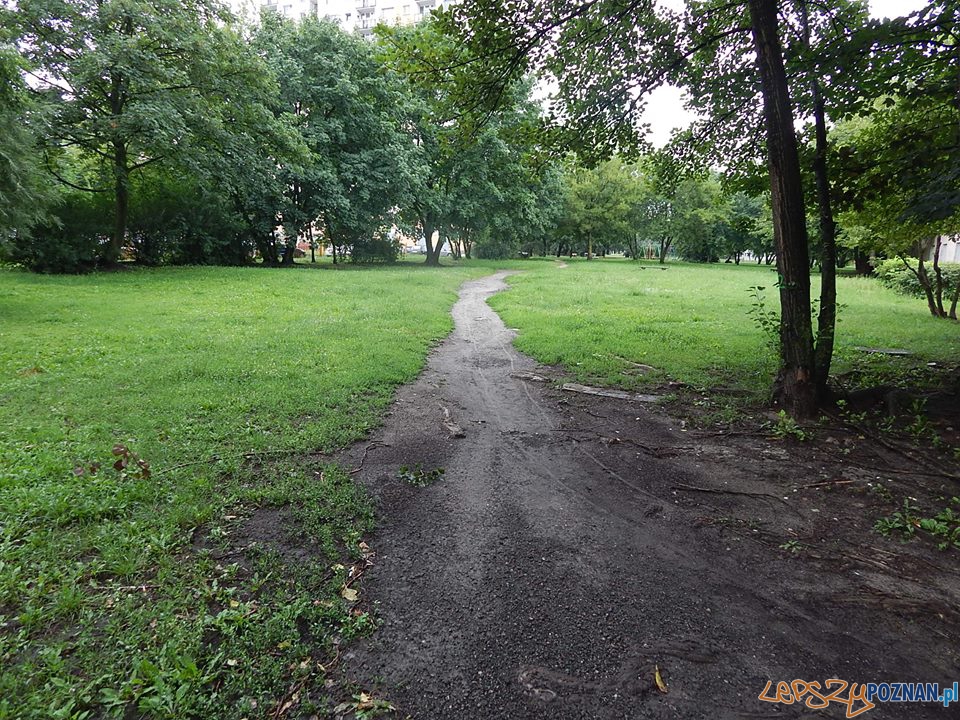 Była ścieżka jest aleja Foto: Rada Osiedla Rataje / Artur Gumny Była ścieżka jest aleja Foto: Rada Osiedla Rataje / Artur Gumny