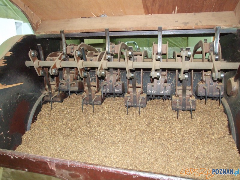 Nielegalna fabryka ćmików zlikwidowana Foto: CBŚ Nielegalna fabryka ćmików zlikwidowana Foto: CBŚ