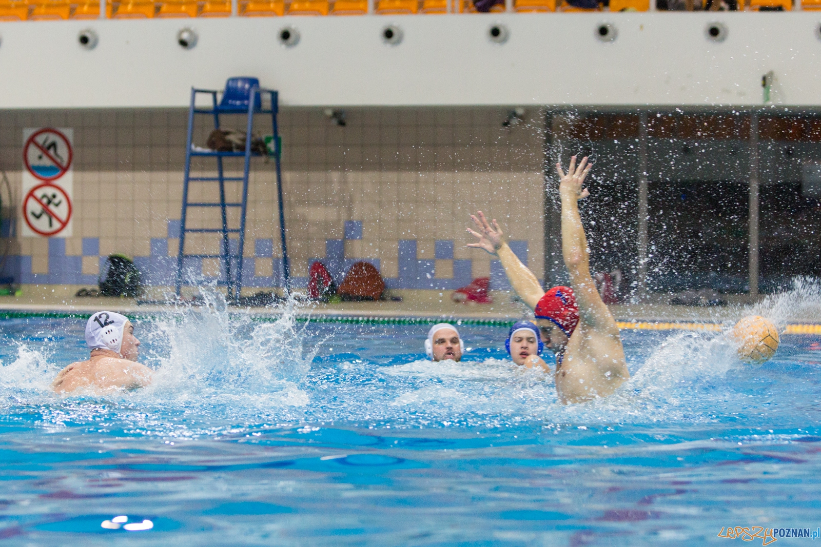 3. kolejka Ekstraklasy Piłki Wodnej - KS Waterpolo Poznań - GK Foto: lepszyPOZNAN.pl / Piotr Rychter 3. kolejka Ekstraklasy Piłki Wodnej - KS Waterpolo Poznań - GK Foto: lepszyPOZNAN.pl / Piotr Rychter