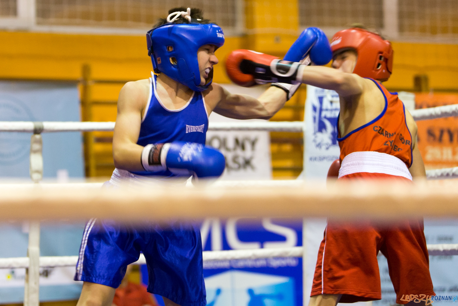 IV Oficjalne Mistrzostwa Polski Młodzików im. Pawła Szydły Foto: lepszyPOZNAN.pl / Piotr Rychter IV Oficjalne Mistrzostwa Polski Młodzików im. Pawła Szydły Foto: lepszyPOZNAN.pl / Piotr Rychter