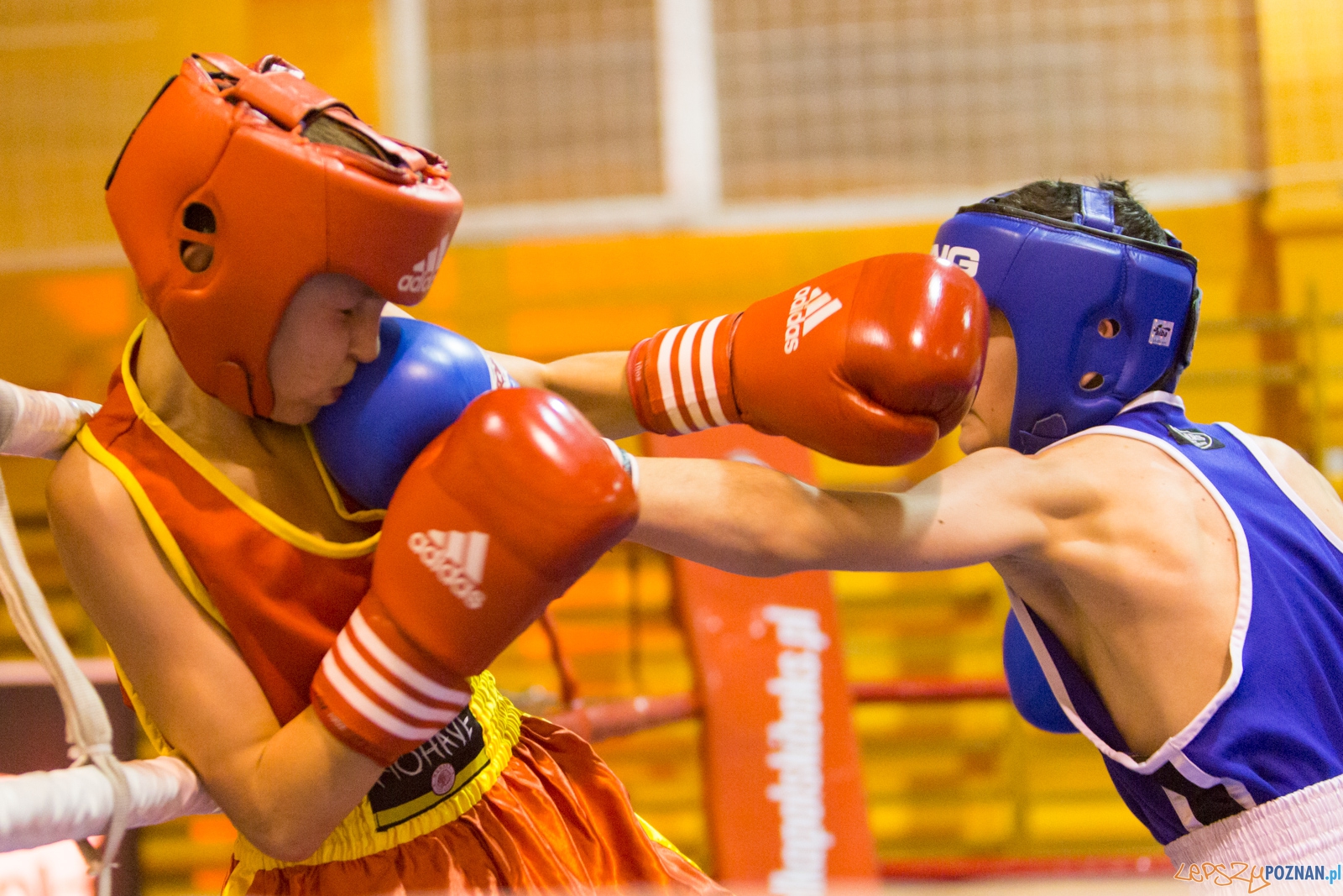 IV Oficjalne Mistrzostwa Polski Młodzików im. Pawła Szydły Foto: lepszyPOZNAN.pl / Piotr Rychter IV Oficjalne Mistrzostwa Polski Młodzików im. Pawła Szydły Foto: lepszyPOZNAN.pl / Piotr Rychter