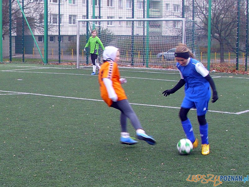 Poznańska Liga Orliczek listopad_2015 Foto: materiały prasowe Poznańska Liga Orliczek listopad_2015 Foto: materiały prasowe