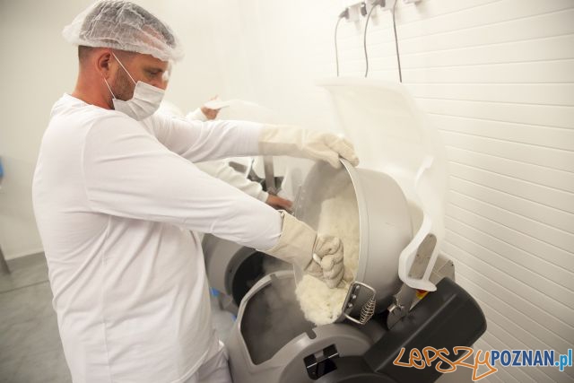 fabryka sushi mieszanie_ryzu Foto: mat. prasowe fabryka sushi mieszanie_ryzu Foto: mat. prasowe