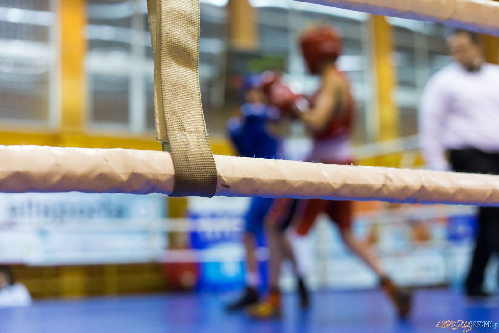 IV Oficjalne Mistrzostwa Polski Młodzików im. Pawła Szydły Foto: lepszyPOZNAN.pl / Piotr Rychter IV Oficjalne Mistrzostwa Polski Młodzików im. Pawła Szydły Foto: lepszyPOZNAN.pl / Piotr Rychter