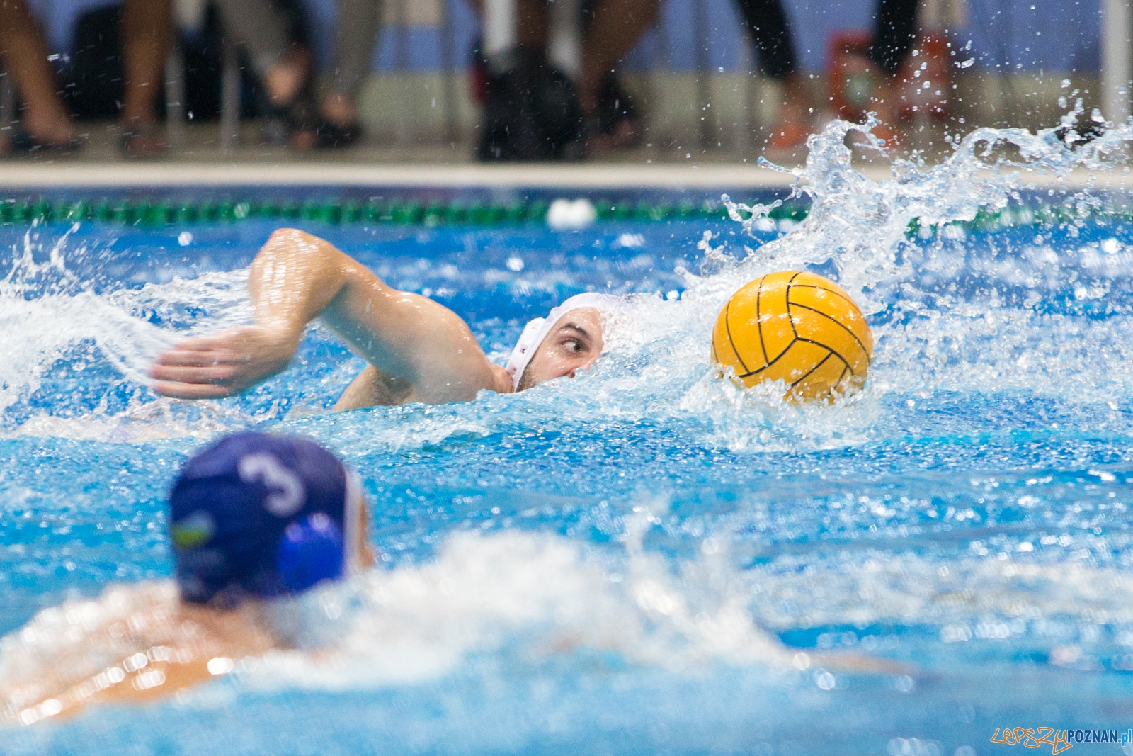 3. kolejka Ekstraklasy Piłki Wodnej - KS Waterpolo Poznań - GK Foto: lepszyPOZNAN.pl / Piotr Rychter 3. kolejka Ekstraklasy Piłki Wodnej - KS Waterpolo Poznań - GK Foto: lepszyPOZNAN.pl / Piotr Rychter