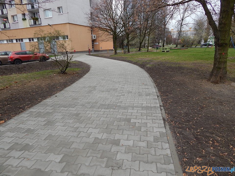 Była ścieżka jest aleja Foto: Rada Osiedla Rataje / Artur Gumny Była ścieżka jest aleja Foto: Rada Osiedla Rataje / Artur Gumny