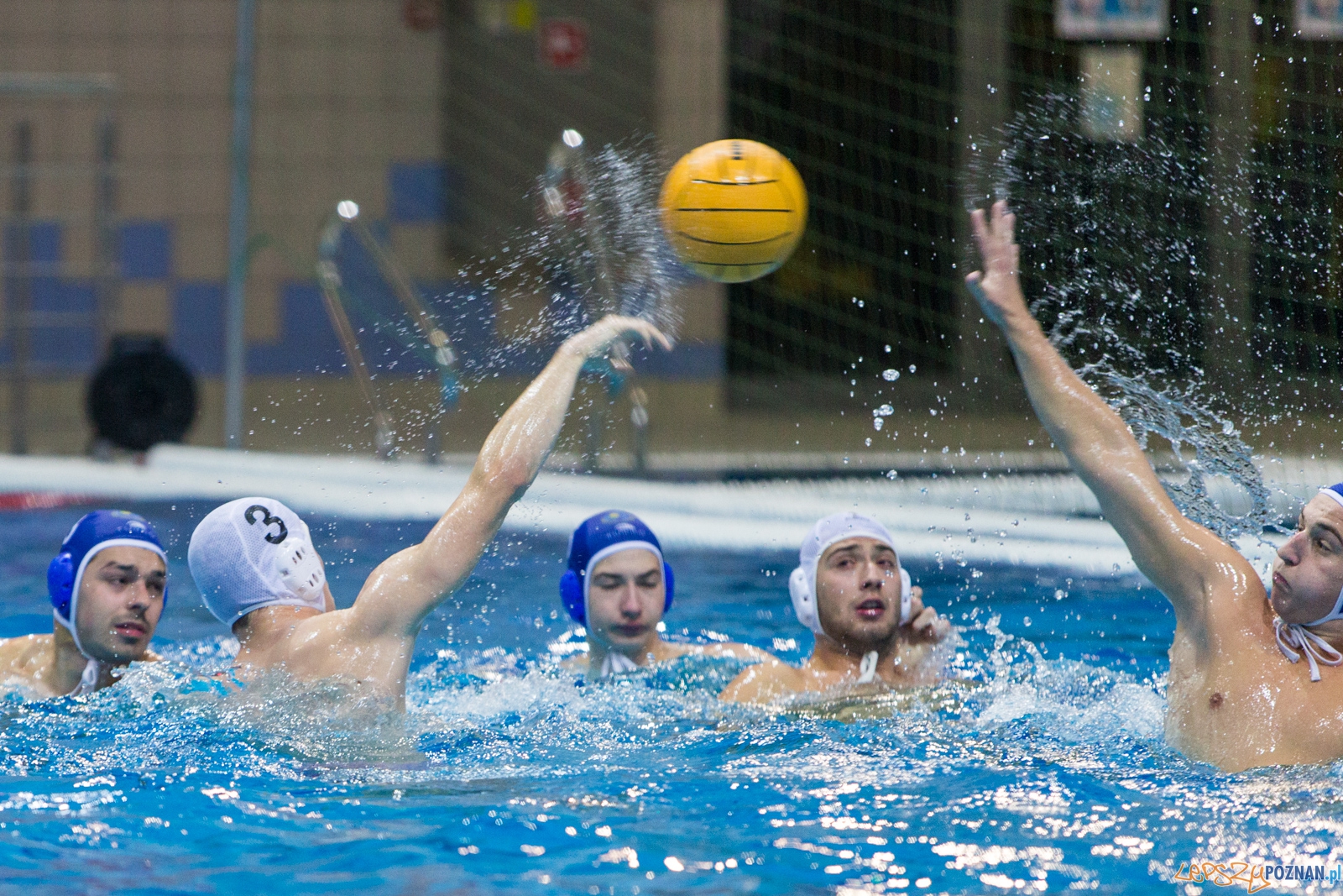 3. kolejka Ekstraklasy Piłki Wodnej - KS Waterpolo Poznań - GK Foto: lepszyPOZNAN.pl / Piotr Rychter 3. kolejka Ekstraklasy Piłki Wodnej - KS Waterpolo Poznań - GK Foto: lepszyPOZNAN.pl / Piotr Rychter