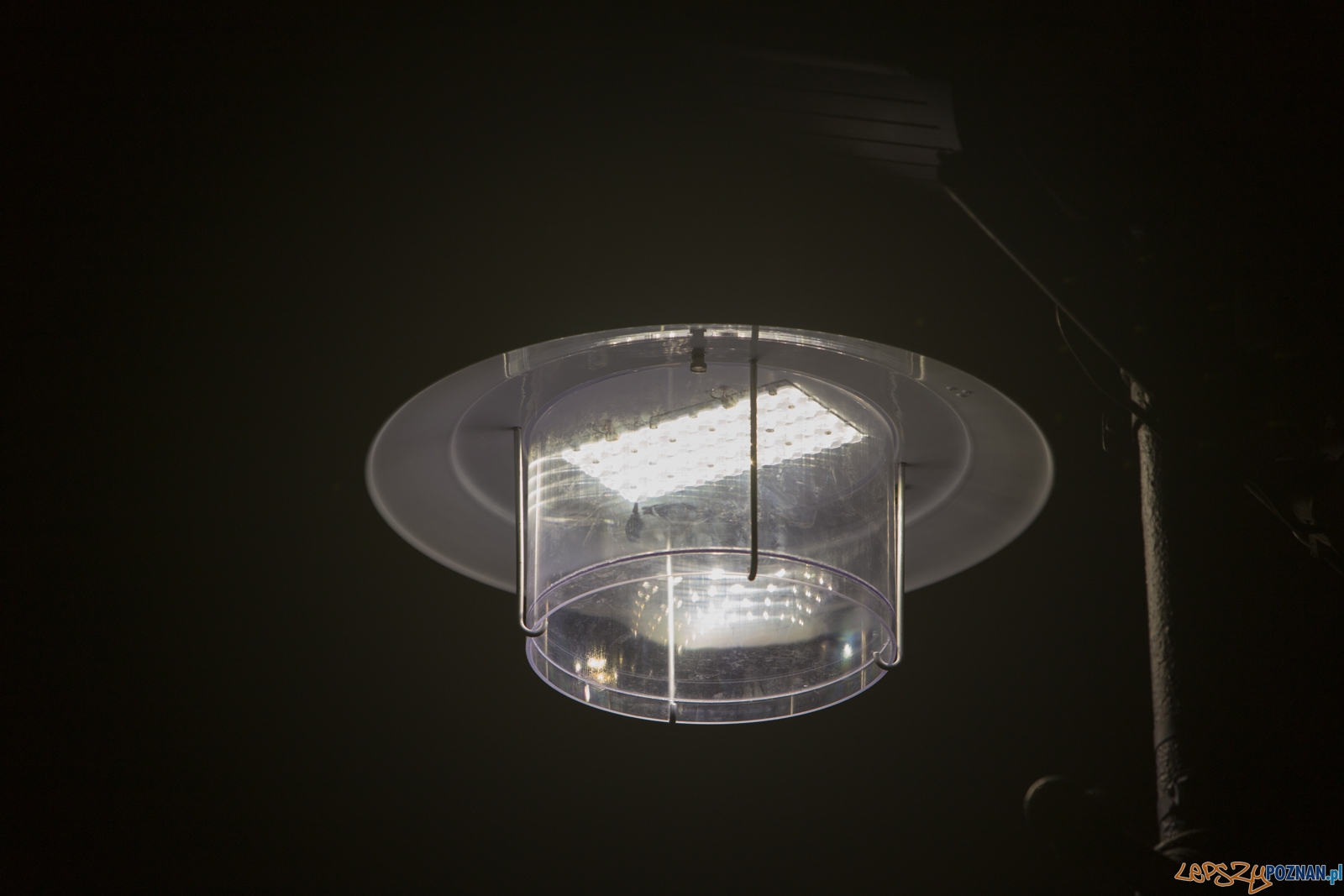 Ledowe Stary Rynek Foto: lepszyPOZNAN.pl / Piotr Rychter Ledowe Stary Rynek Foto: lepszyPOZNAN.pl / Piotr Rychter