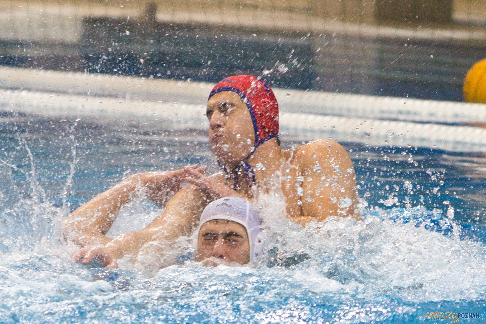 3. kolejka Ekstraklasy Piłki Wodnej - KS Waterpolo Poznań - GK Foto: lepszyPOZNAN.pl / Piotr Rychter 3. kolejka Ekstraklasy Piłki Wodnej - KS Waterpolo Poznań - GK Foto: lepszyPOZNAN.pl / Piotr Rychter