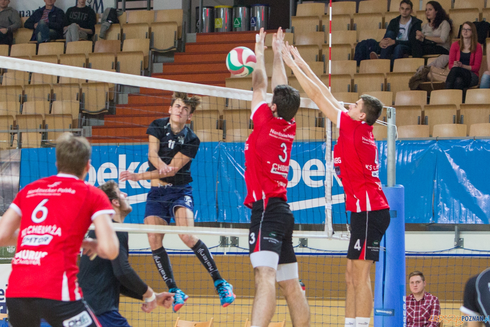 AZS UAM Poznań - KS Chełmża Foto: lepszyPOZNAN.pl / Piotr Rychter AZS UAM Poznań - KS Chełmża Foto: lepszyPOZNAN.pl / Piotr Rychter