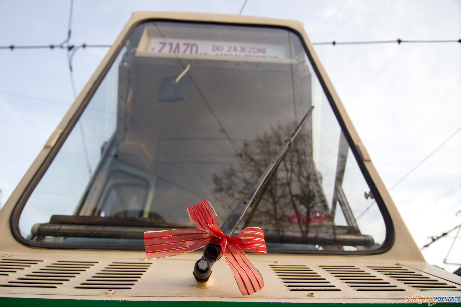 Gwiazdka na Madalinie Foto: lepszyPOZNAN.pl / Piotr Rychter Gwiazdka na Madalinie Foto: lepszyPOZNAN.pl / Piotr Rychter