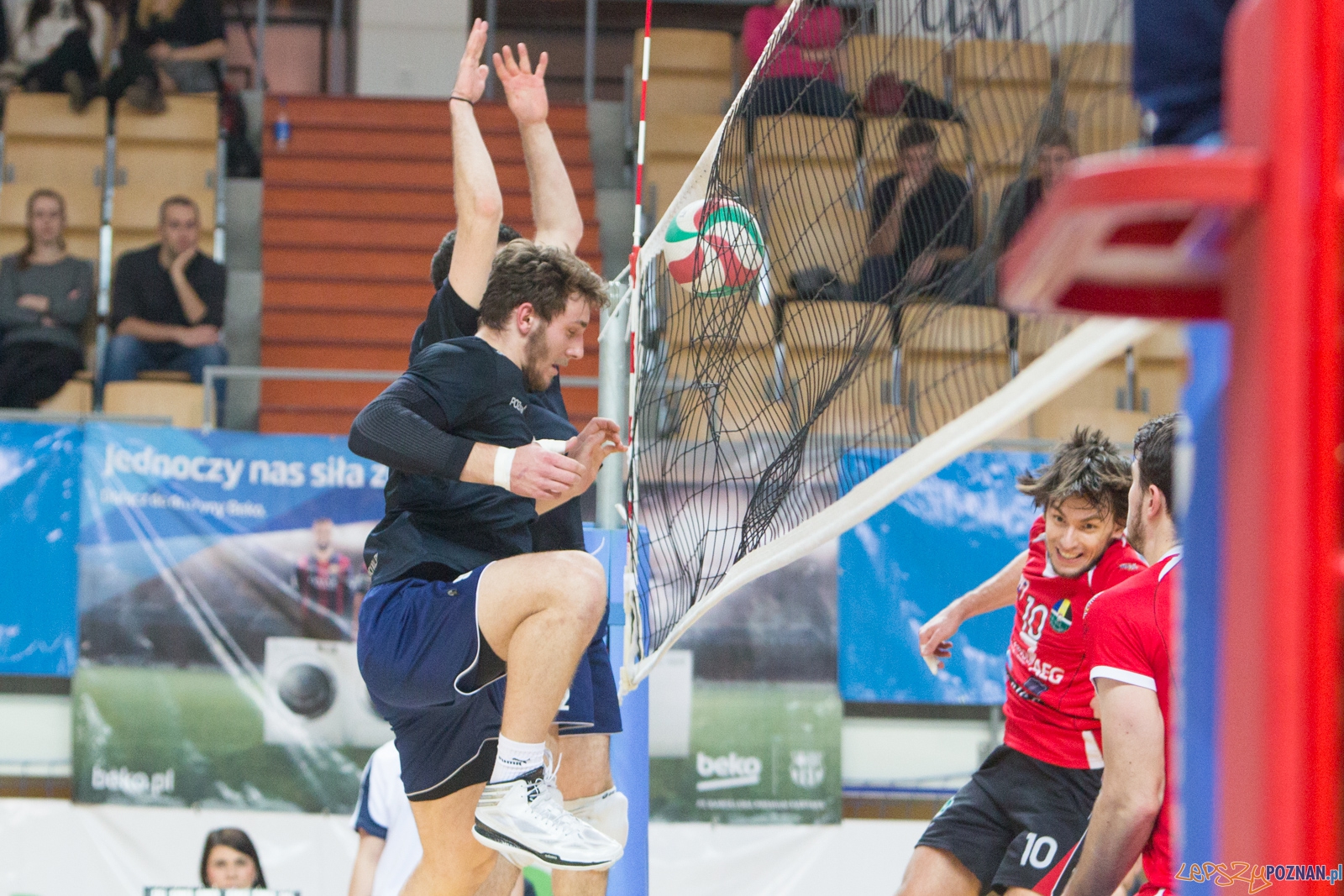 AZS UAM Poznań - KS Chełmża Foto: lepszyPOZNAN.pl / Piotr Rychter AZS UAM Poznań - KS Chełmża Foto: lepszyPOZNAN.pl / Piotr Rychter