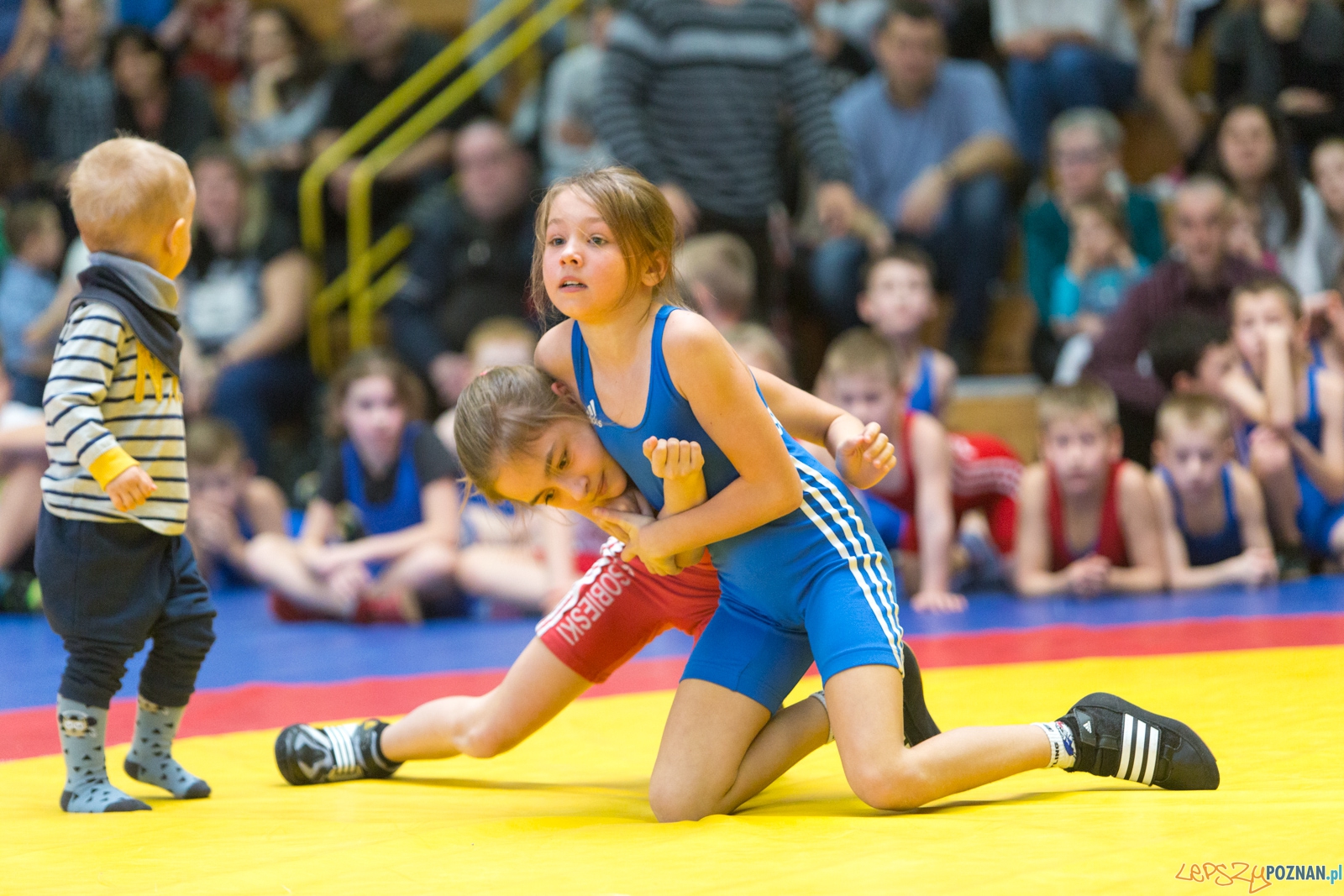 Turniej Świąteczny Zapasy z Gwiazdorem. Foto: lepszyPOZNAN.pl / Piotr Rychter Turniej Świąteczny Zapasy z Gwiazdorem. Foto: lepszyPOZNAN.pl / Piotr Rychter