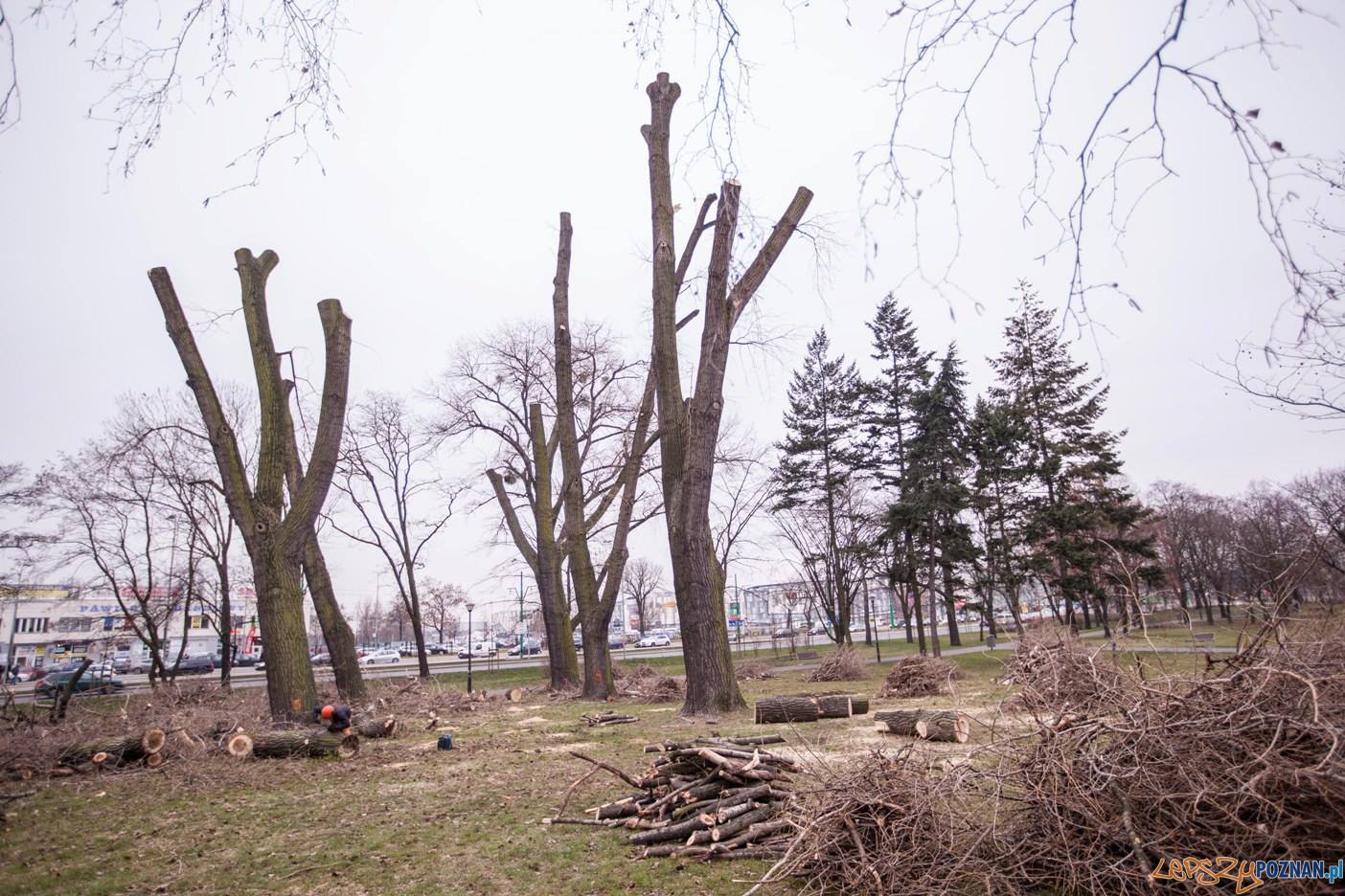 Park Marcinkowskiego Foto: Stowarzyszenie Prawo do Miasta Park Marcinkowskiego Foto: Stowarzyszenie Prawo do Miasta