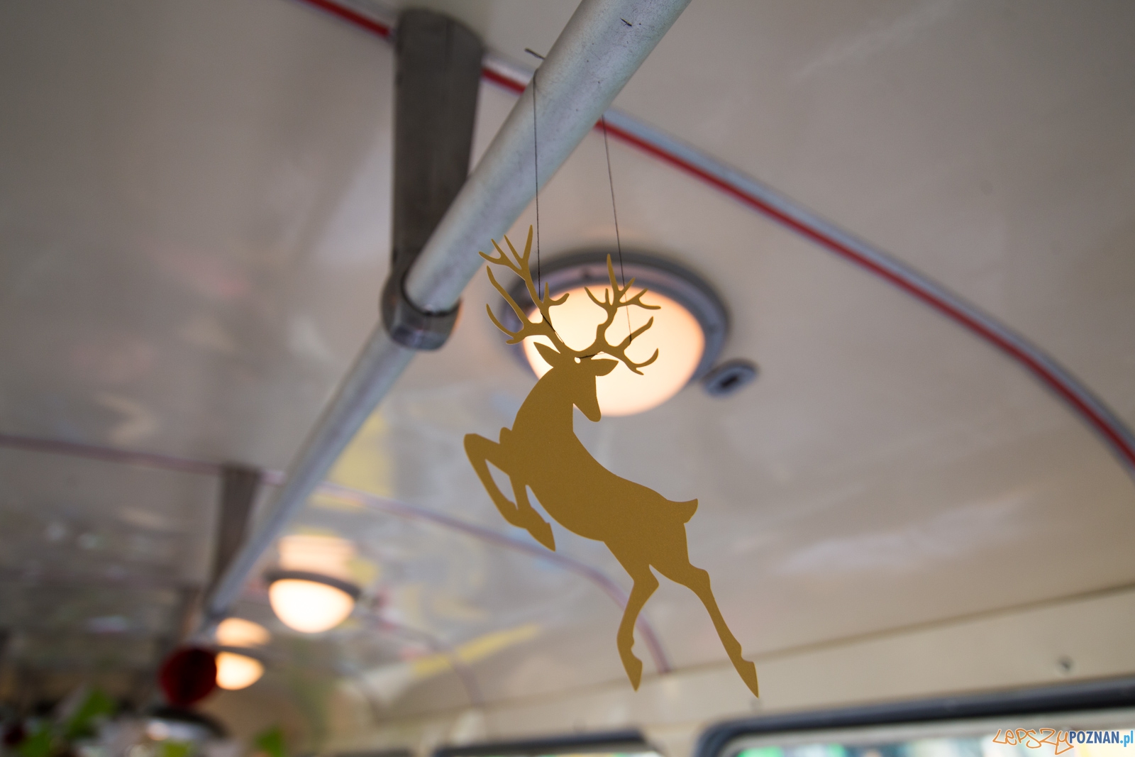 Gwiazdka na Madalinie Foto: lepszyPOZNAN.pl / Piotr Rychter Gwiazdka na Madalinie Foto: lepszyPOZNAN.pl / Piotr Rychter