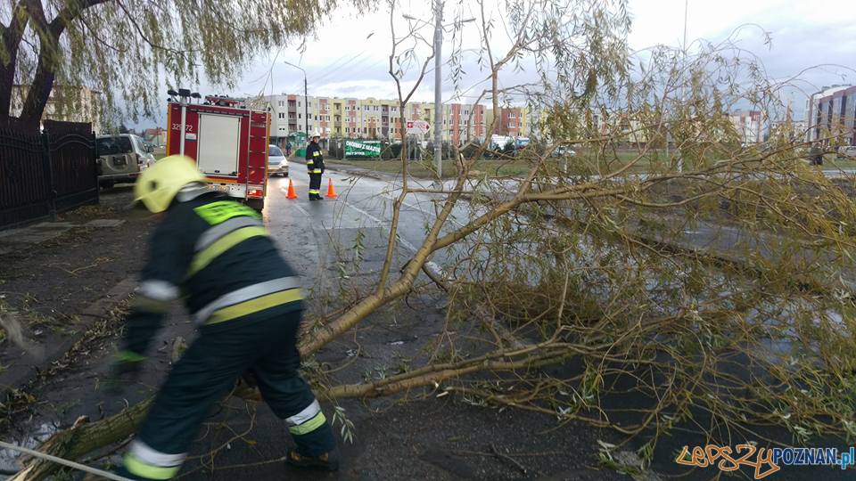 Złamany konar w Luboniu Foto: OSP Luboń Złamany konar w Luboniu Foto: OSP Luboń
