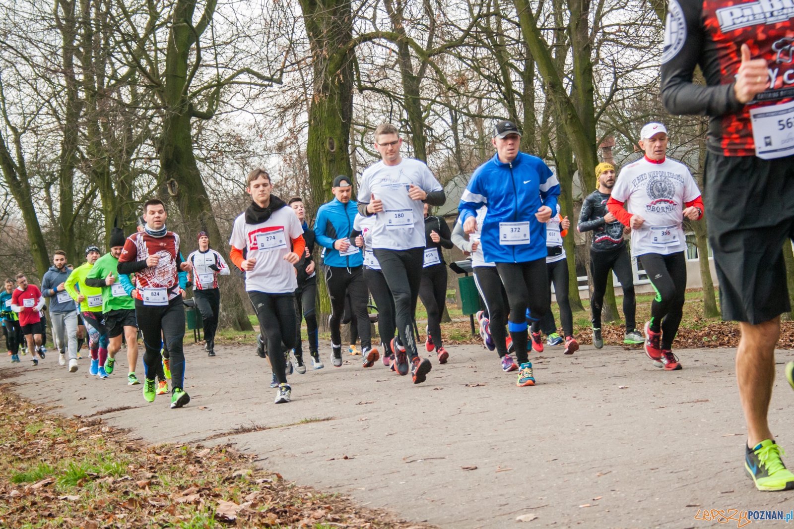 I Bieg Powstania Wielkopolskiego (27.12.2015) Cytadela Foto: © lepszyPOZNAN.pl / Karolina Kiraga I Bieg Powstania Wielkopolskiego (27.12.2015) Cytadela Foto: © lepszyPOZNAN.pl / Karolina Kiraga