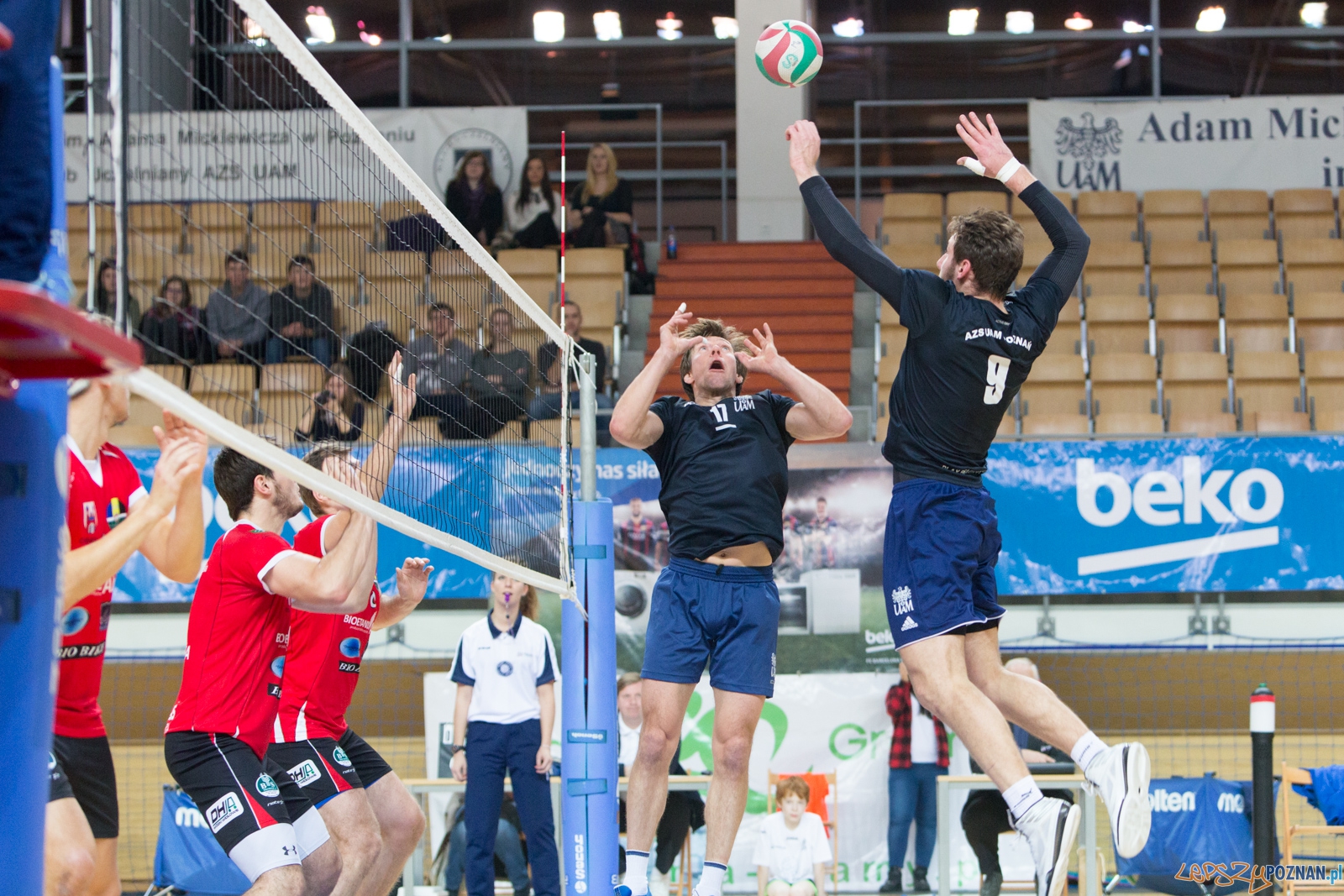 AZS UAM Poznań - KS Chełmża Foto: lepszyPOZNAN.pl / Piotr Rychter AZS UAM Poznań - KS Chełmża Foto: lepszyPOZNAN.pl / Piotr Rychter