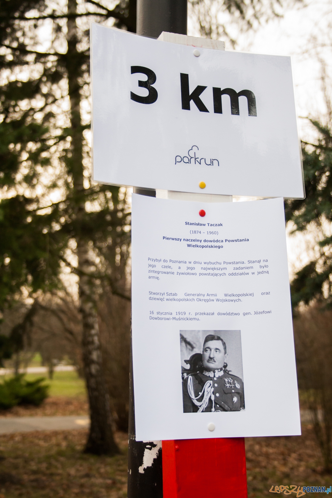 I Bieg Powstania Wielkopolskiego (27.12.2015) Cytadela Foto: © lepszyPOZNAN.pl / Karolina Kiraga I Bieg Powstania Wielkopolskiego (27.12.2015) Cytadela Foto: © lepszyPOZNAN.pl / Karolina Kiraga