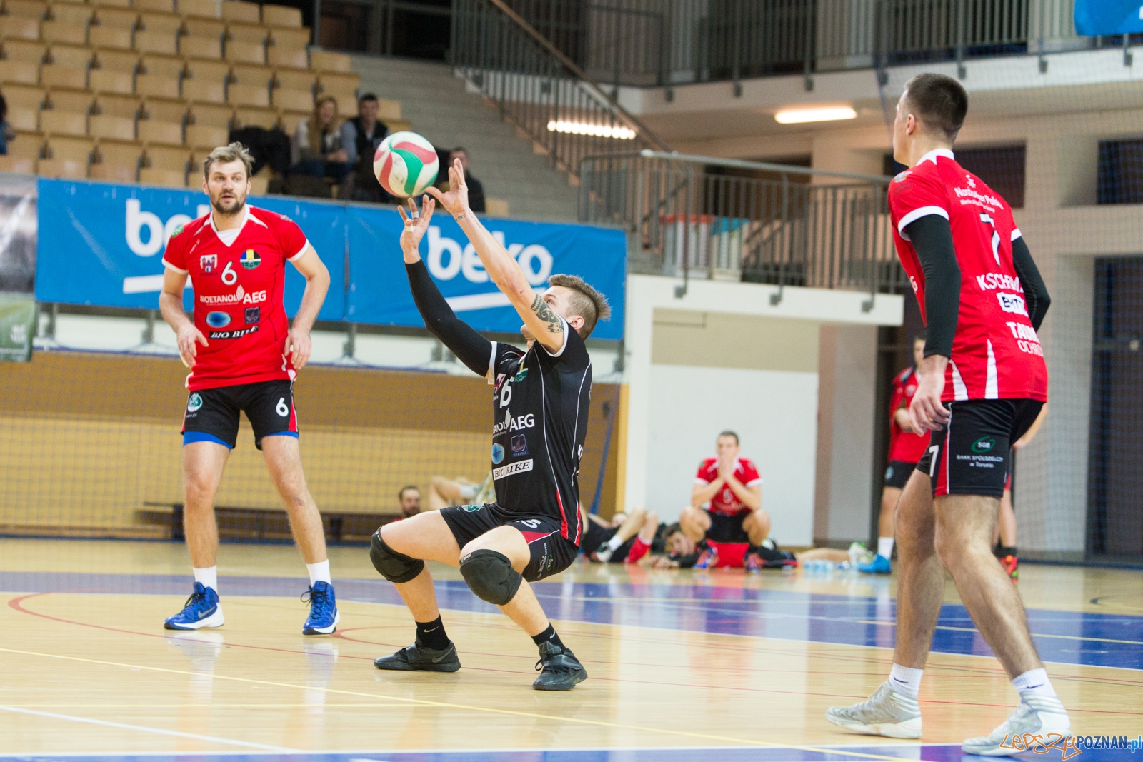 AZS UAM Poznań - KS Chełmża Foto: lepszyPOZNAN.pl / Piotr Rychter AZS UAM Poznań - KS Chełmża Foto: lepszyPOZNAN.pl / Piotr Rychter