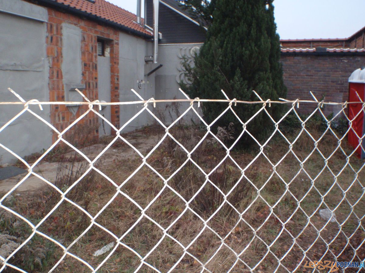 Gemela na Strzeszyńskiej Foto: Straż Miejska Gemela na Strzeszyńskiej Foto: Straż Miejska