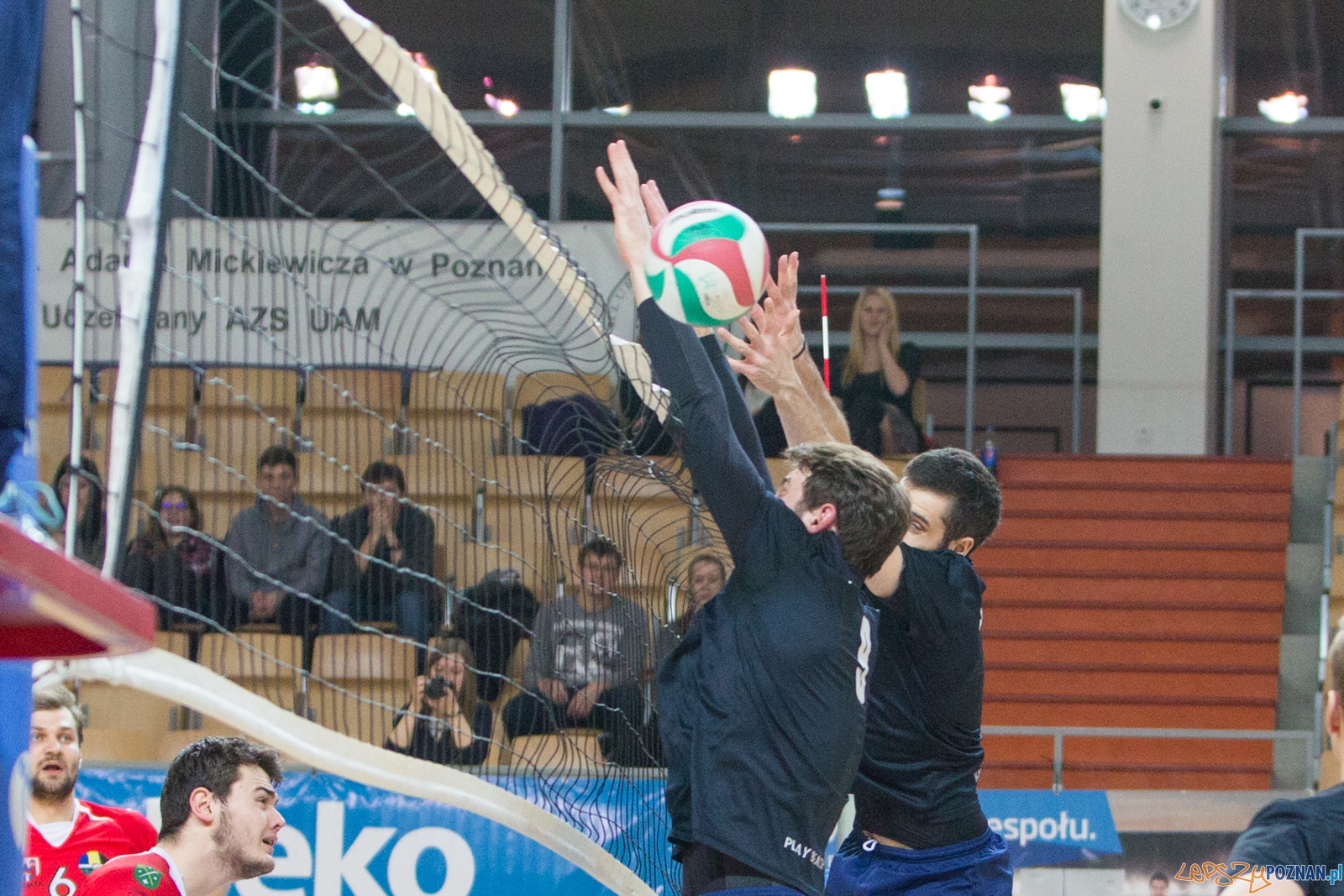 AZS UAM Poznań - KS Chełmża Foto: lepszyPOZNAN.pl / Piotr Rychter AZS UAM Poznań - KS Chełmża Foto: lepszyPOZNAN.pl / Piotr Rychter