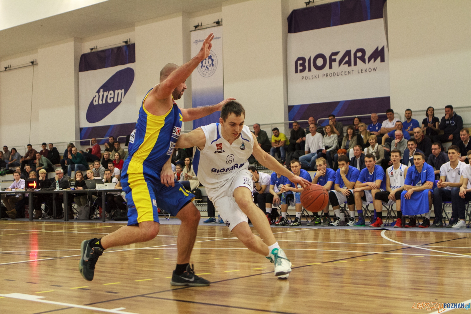 Biofarm Basket Poznań – SKK Siedlce 81-70 (25:17, 16:13, 24:1 Foto: LepszyPOZNAN.pl / Paweł Rychter Biofarm Basket Poznań – SKK Siedlce 81-70 (25:17, 16:13, 24:1 Foto: LepszyPOZNAN.pl / Paweł Rychter