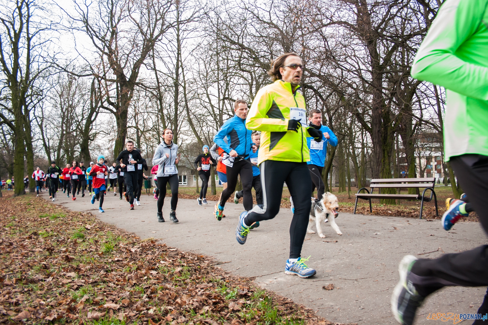 I Bieg Powstania Wielkopolskiego (27.12.2015) Cytadela Foto: © lepszyPOZNAN.pl / Karolina Kiraga I Bieg Powstania Wielkopolskiego (27.12.2015) Cytadela Foto: © lepszyPOZNAN.pl / Karolina Kiraga